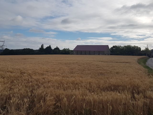 2020-06-30-villeconin (08)