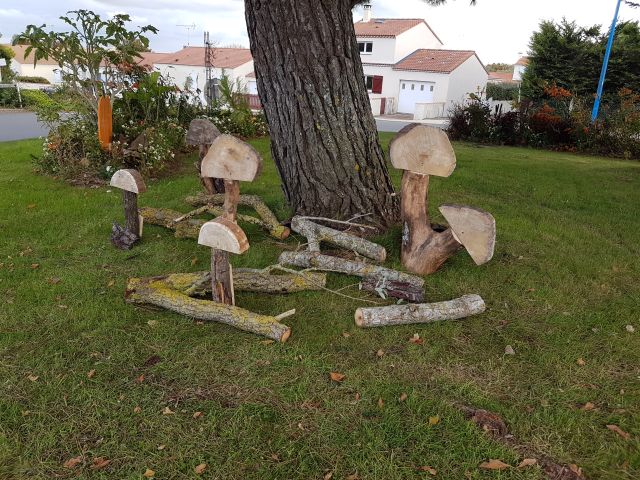 2020-10-14 - notre-dame-de-monts (12)