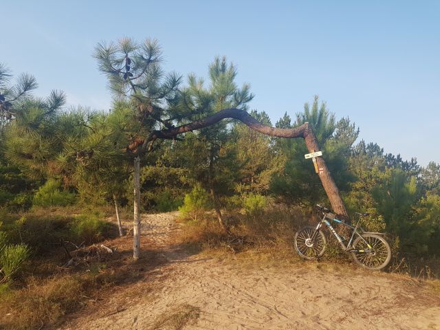 2020-09-17-la-barre-de-monts (01)