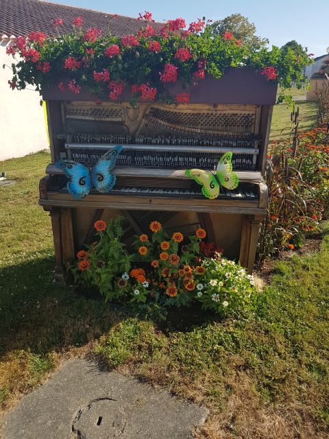 2020-07-19-givrand (07)