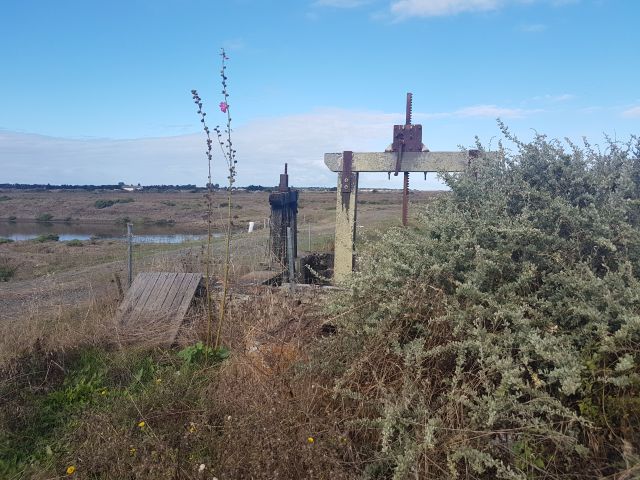 2020-08-23 - noirmoutier (04)