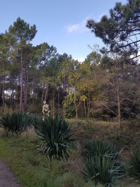2020-11-03 - saint-jean-de-monts (03)