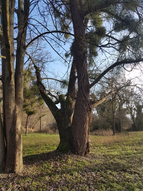 2020-01-19 - velizy-villacoublay (09)