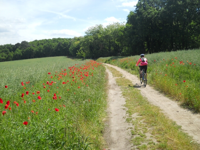 2015-05-29-boissy-sous-saint-yon (15)