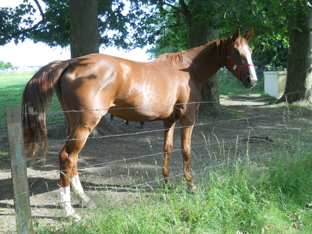 2015-06-14-gif-sur-yvette (06)