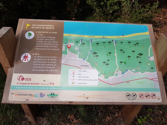 2020-10-14 - notre-dame-de-monts (11)
