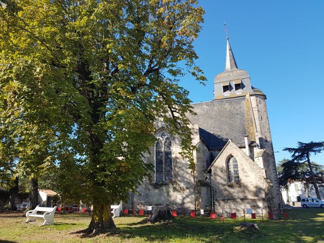 2020-09-06 - bois-de-cene (07)