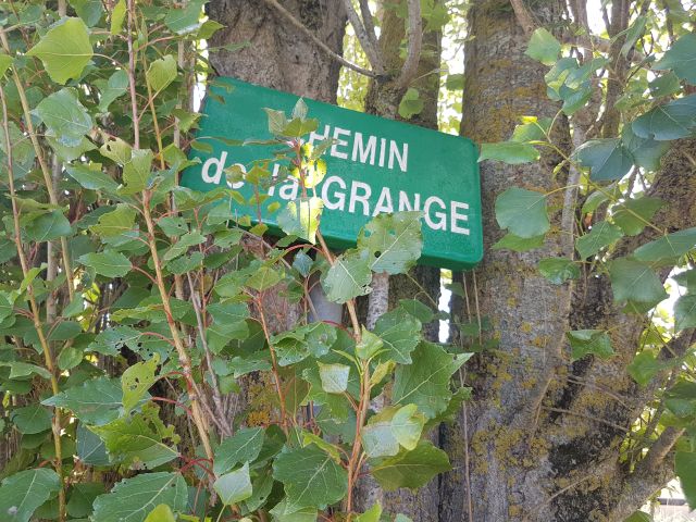 2020-07-19-givrand (15)