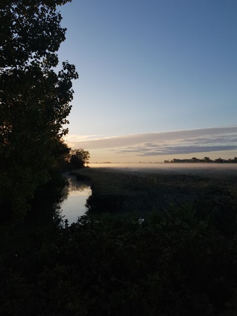 2020-09-06 - bois-de-cene (03)