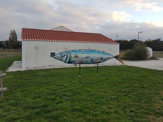 2020-10-11_st-gilles-croix-de-vie (02)