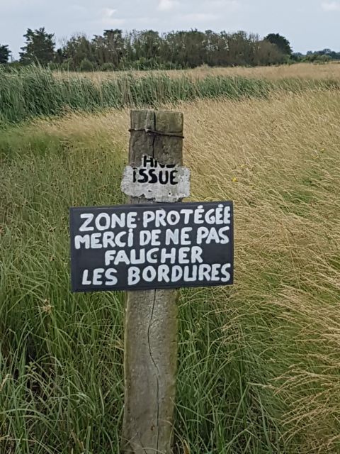 2020-06-04-sgxv-fromentine (07)