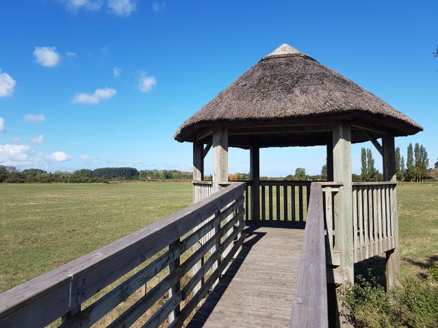 2020-09-06 - bois-de-cene (11)