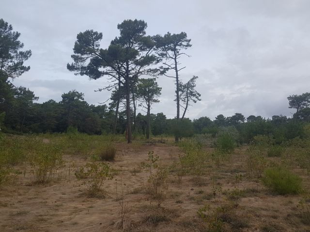 2020-08-26 - dolbeau (03)