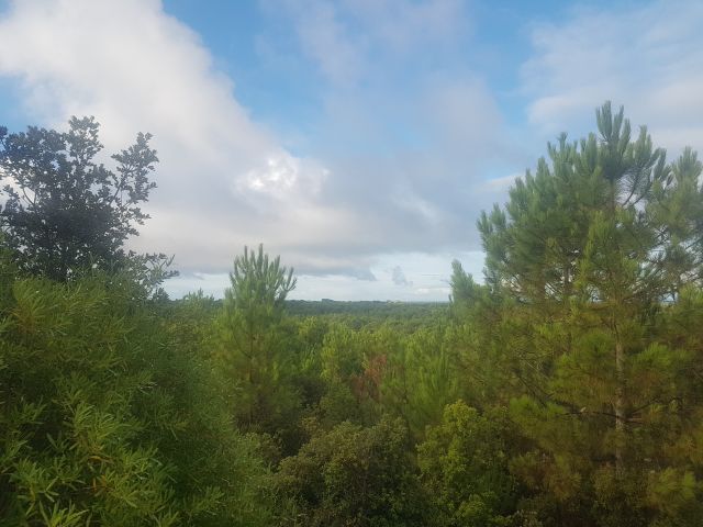 2020-08-18 - bretignolles-sur-mer (05)
