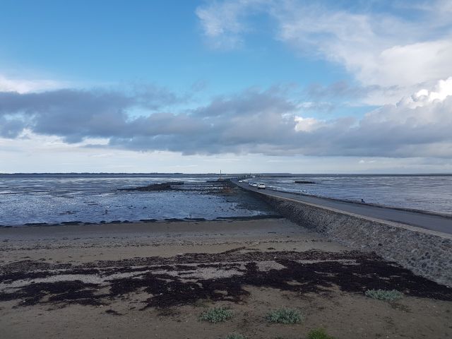 2020-08-16-beauvoir-sur-mer (11)
