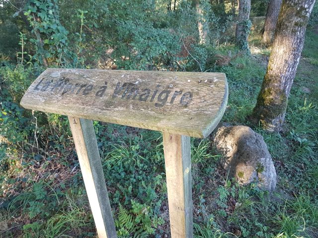 2020-09-06 - bois-de-cene (05)