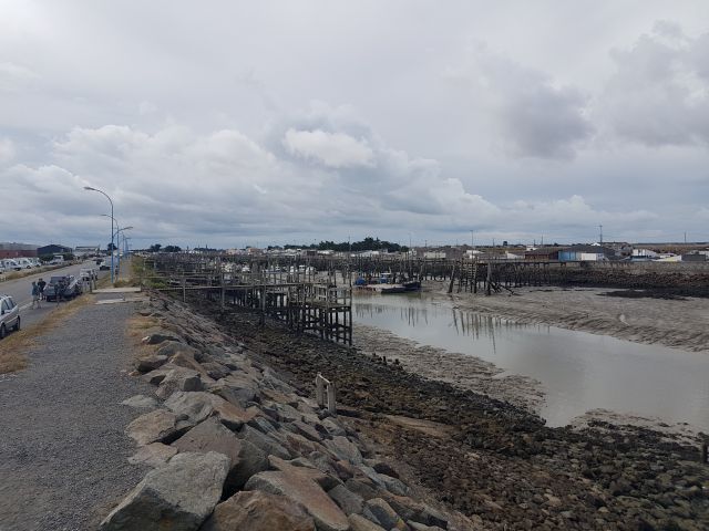 2020-08-16-beauvoir-sur-mer (13)