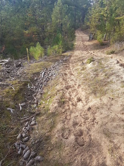 2020-11-11 - st-jean-de-monts (04)