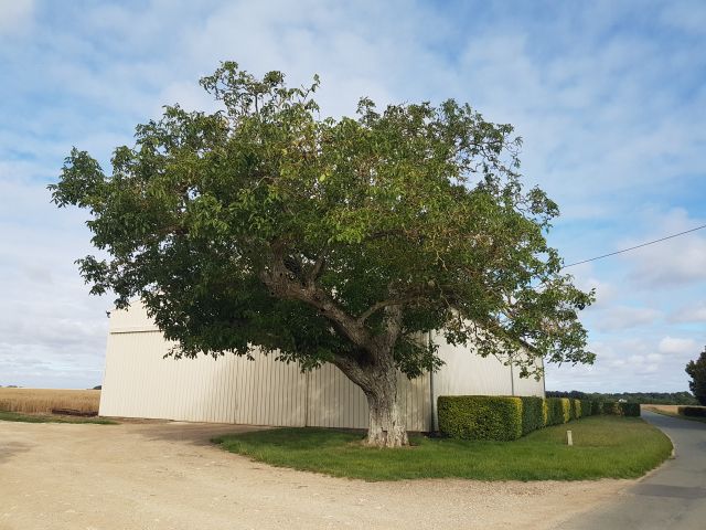 2020-06-30-villeconin (19)