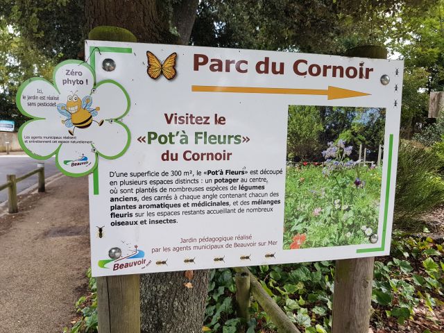 2020-08-16-beauvoir-sur-mer (22)