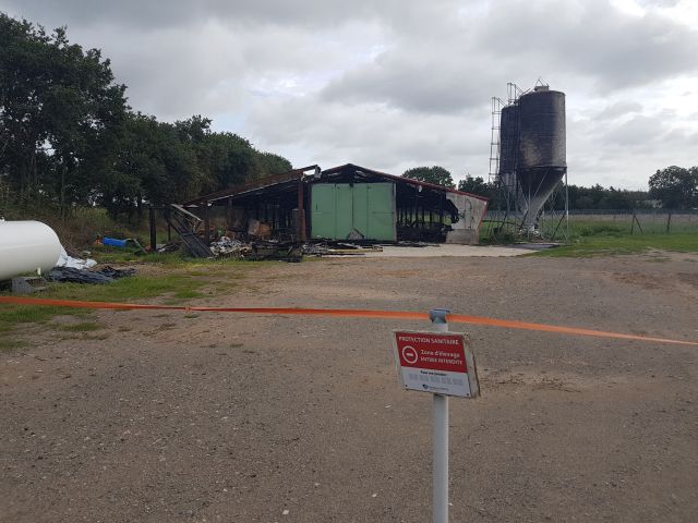 2020-08-26 - dolbeau (12)