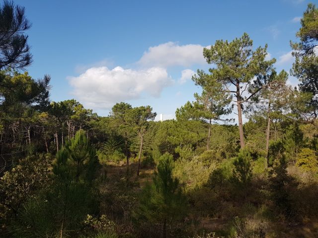 2020-11-03 - saint-jean-de-monts (02)