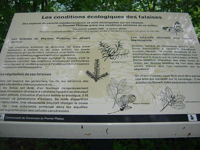 2010-05-13 - chateau-chalon (037)