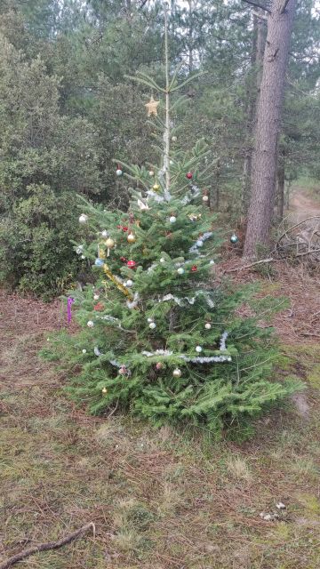 2021-12-19 - saint-jean-de-monts (08)