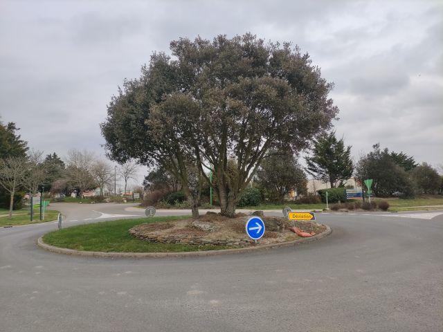2021-03-10 - brem-sur-mer (01)