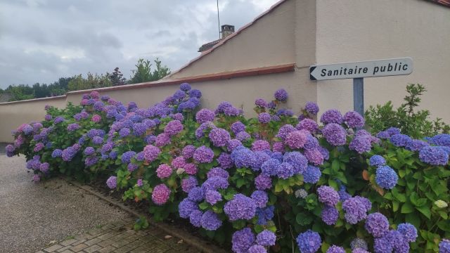 2021-07-04 - grand-landes (08)