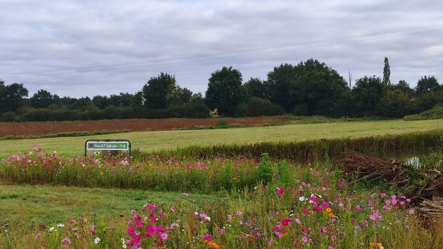 2021-09-11 - saint-meme-le-tenu (03)