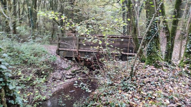 2021-11-07 - la ferriere (08)