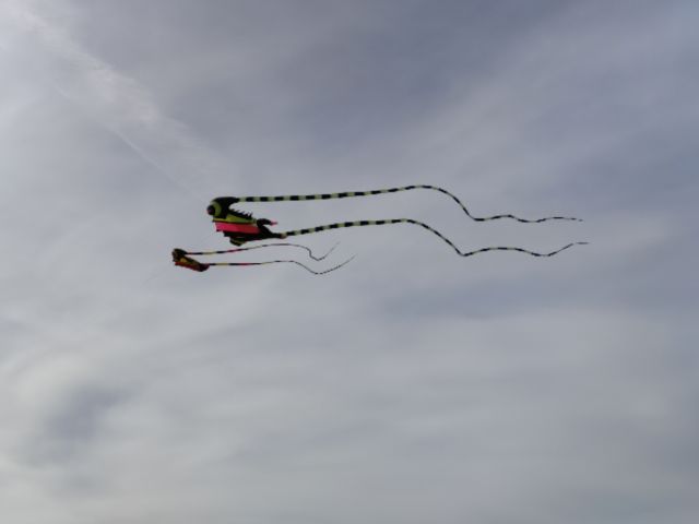 2021-02-14 - saint-jean-de-monts (05)