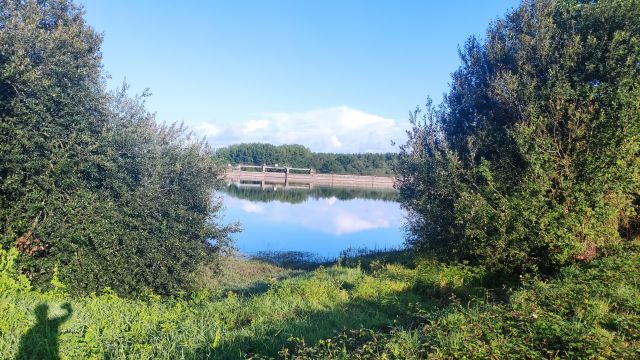 2021-08-08 - talmont-saint-hilaire (05)