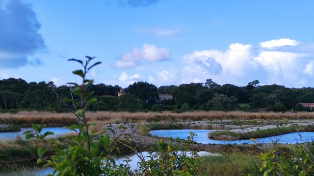 2021-08-08 - talmont-saint-hilaire (24)