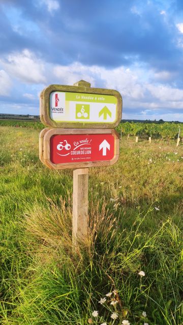 2021-08-08 - talmont-saint-hilaire (03)