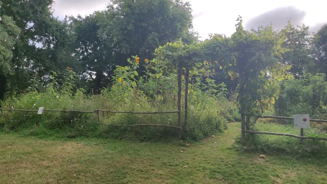 2021-08-22 - beauvoir-sur-mer (10)