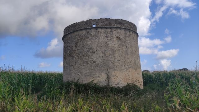 2021-08-08 - talmont-saint-hilaire (21)