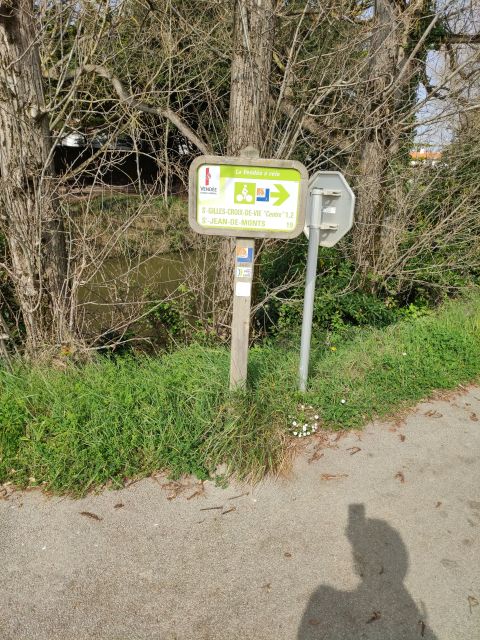 2020-04-02 - bretignolles (07)