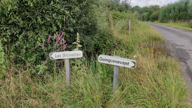 2021-07-25 - bois-de-cene (05)