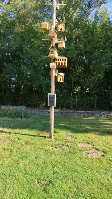 2021-10-09 - beaufou (10)