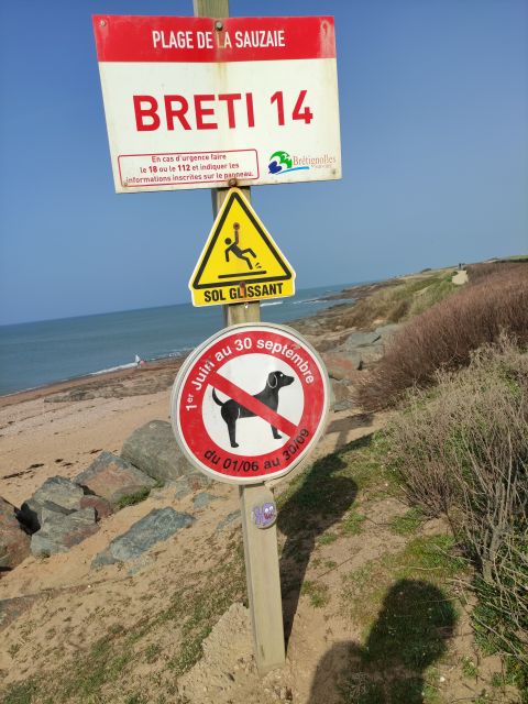 2020-04-02 - bretignolles (05)
