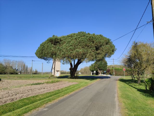 2021-04-04 - soullans (05)