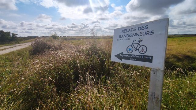 2021-08-22 - beauvoir-sur-mer (12)