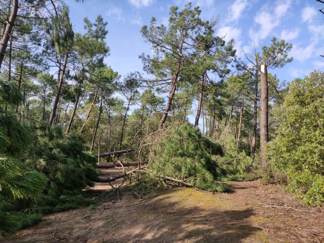 2021-02-17 - saint-jean-de-monts (03)