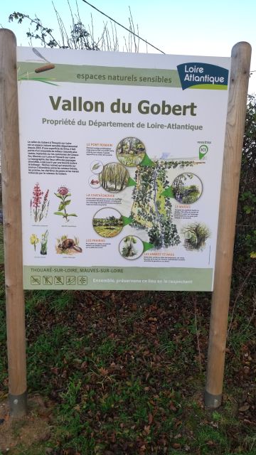 2021-12-05 - saint-luce-sur-loire (10)