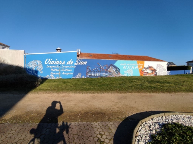 2021-01-10 - st-jean-de-monts (03)