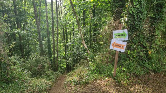 2021-07-04 - grand-landes (11)