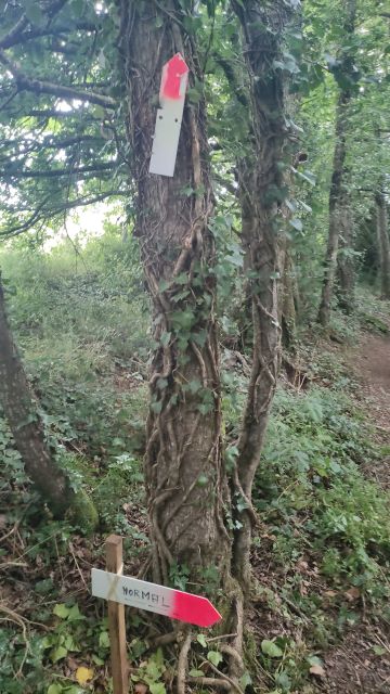 2021-07-04 - grand-landes (14)