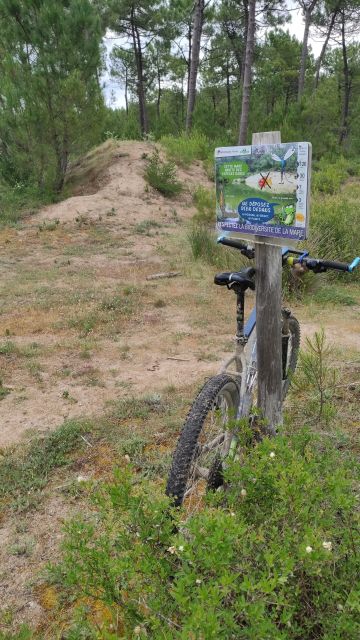 2021-06-20 - la-barre-de-monts (16)